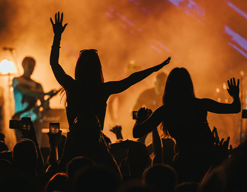 Konser, Spor Organizasyonları & Basın Gezileri
